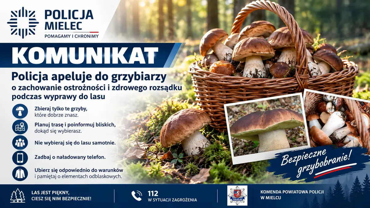 Apel o ostrożność podczas grzybobrania
