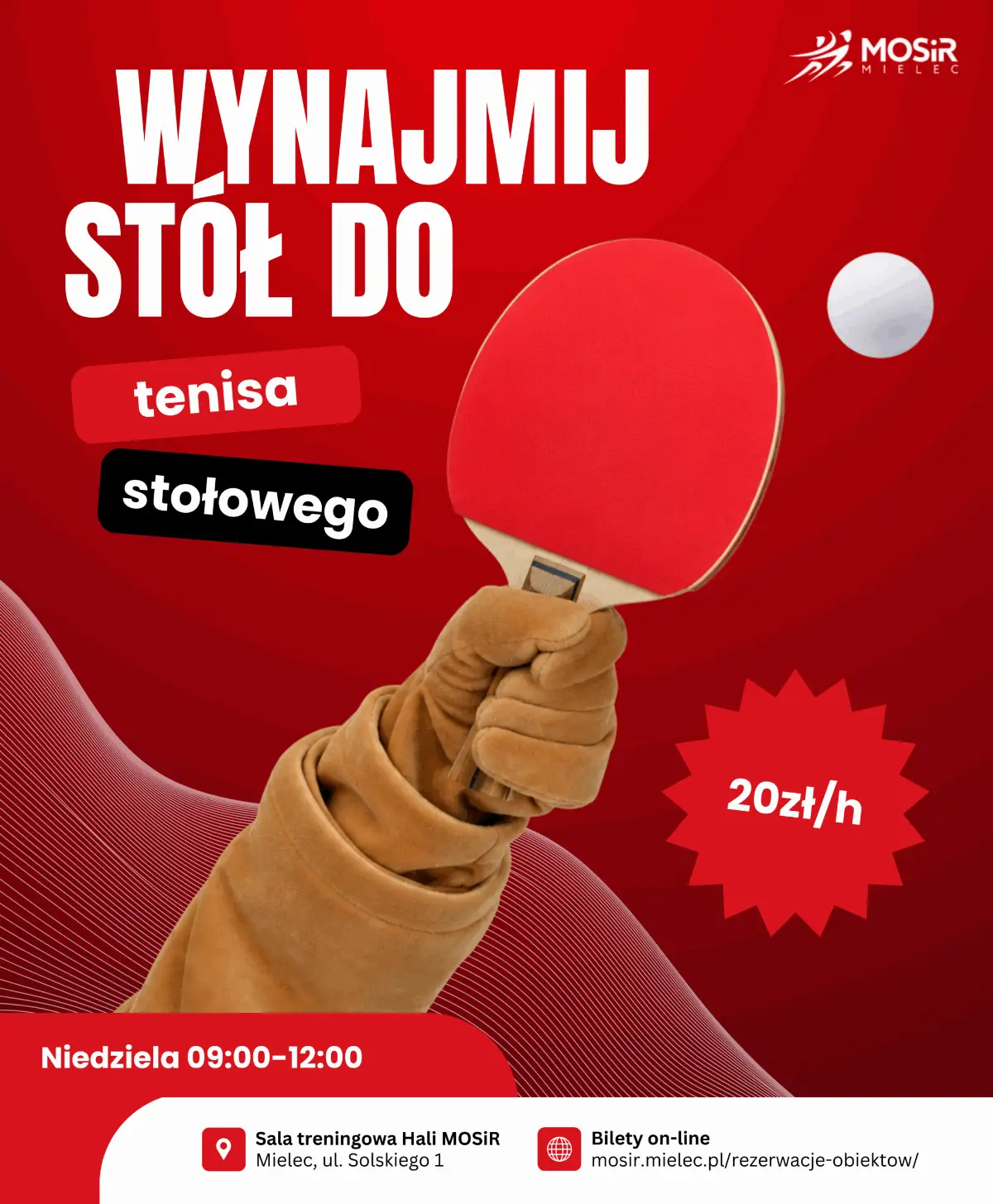 Możliwość wynajmu stołu do tenisa stołowego